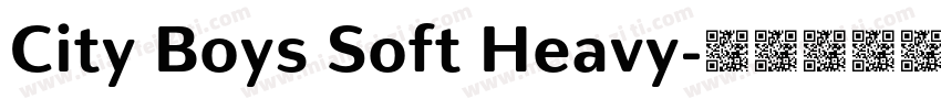 City Boys Soft Heavy字体转换